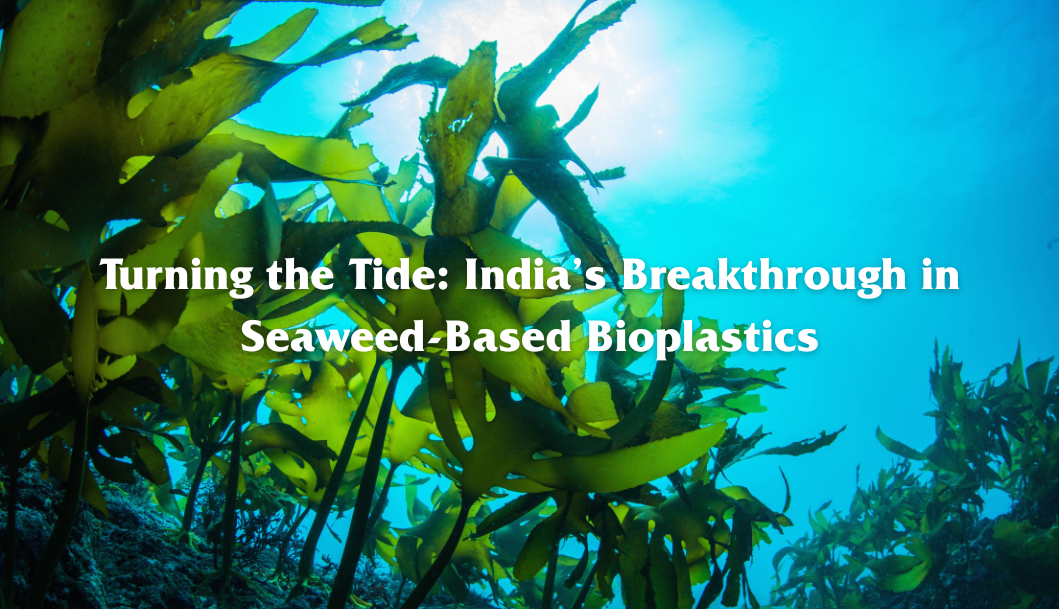 Scientists from the National Institute of Ocean Technology (NIOT) have unveiled a groundbreaking bioplastic film derived from marine seaweed and polyethylene glycol (PEG-3000).