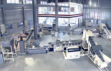 POLYSTAR-HNT